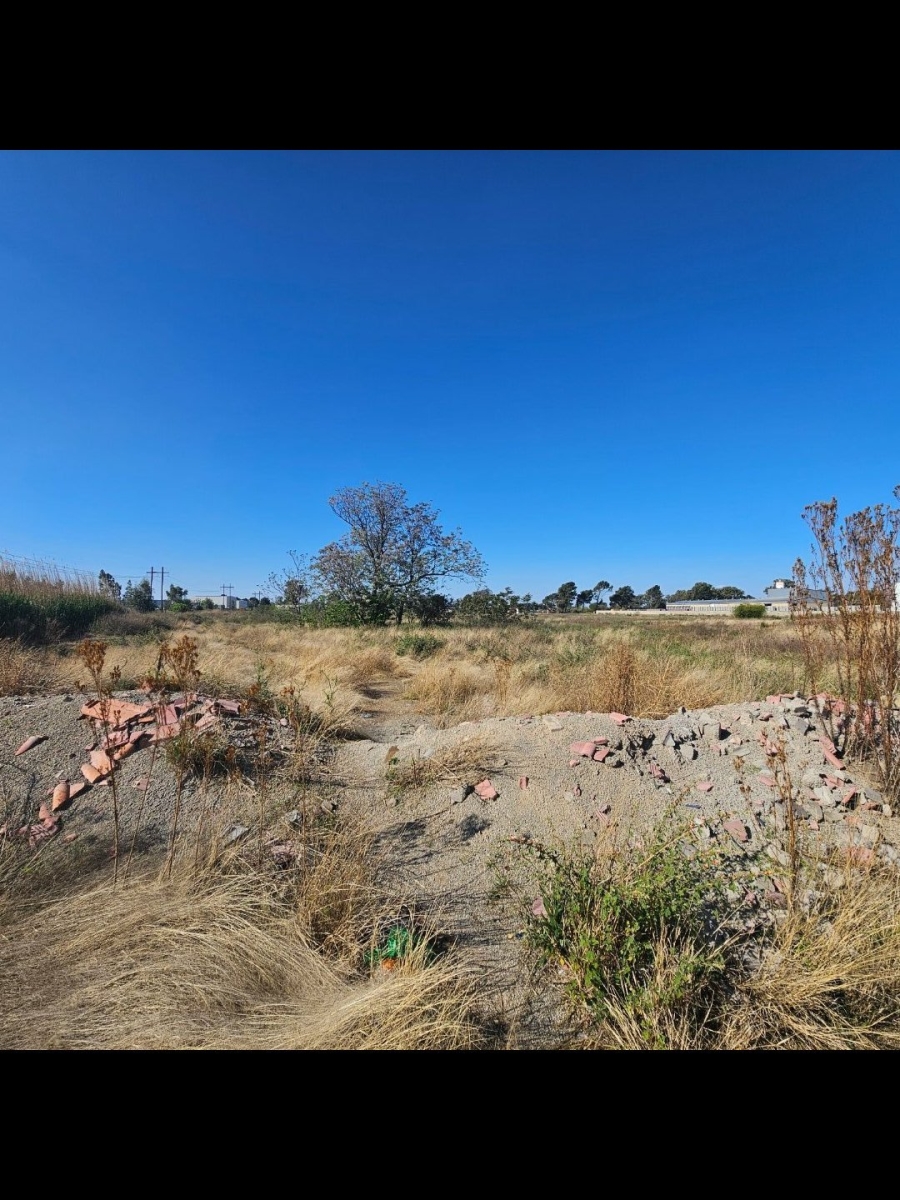 Commercial Property for Sale in Estoire Free State